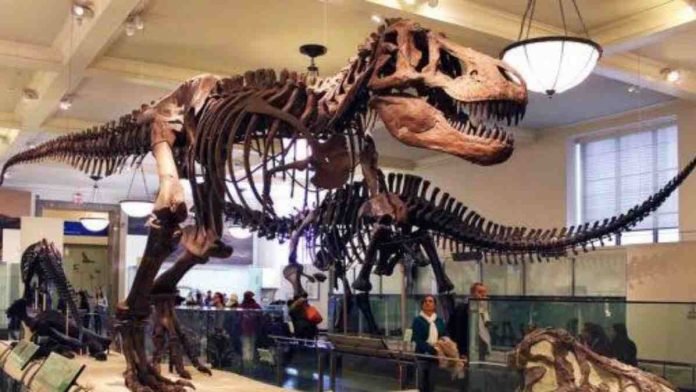 Museum-di-Bogor-dekat-stasiun-696x392