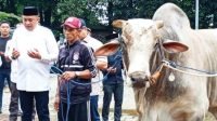 Ketua-DPRD-Kabupaten-Bogor-Rudy-Susmanto-Salurkan-48-Sapi-Kurban-dari-Presiden-Terpilih-Prabowo-Subianto-696x391 Sapi Kurban
