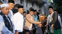 sapi kurban limosin