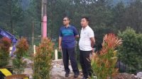 Puncak