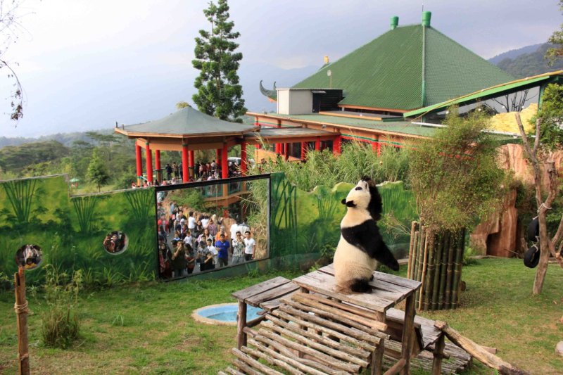 Taman Safari Bogor